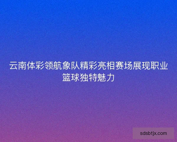 云南体彩领航象队精彩亮相赛场展现职业篮球独特魅力 云南体彩领航象队精彩亮相赛场展现职业篮球独特魅力